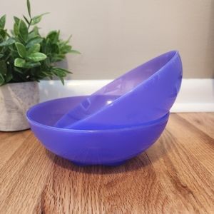 Tupperware Bowls Set of 2